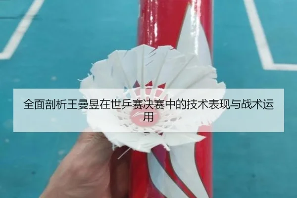 全面剖析王曼昱在世乒赛决赛中的技术表现与战术运用